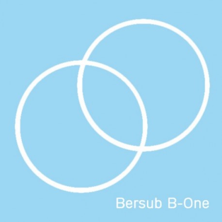 Bersub B-One Lampe Teflondichtungen