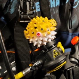 Fixe octopus Poisson-globe Fixe octopus Poisson-globe