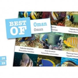 DiveSticker autocollant Oman
