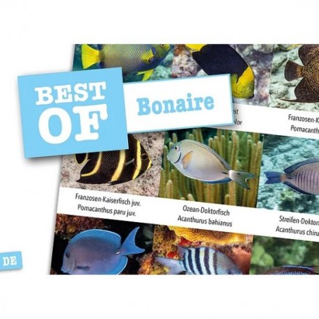 DiveSticker Bonaire