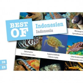 DiveSticker Indonesien