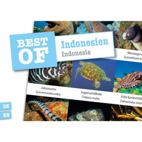 DiveSticker Indonesien
