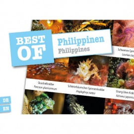 DiveSticker Philippinen