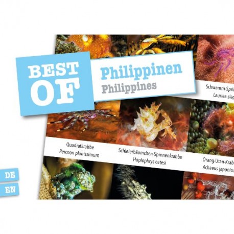 DiveSticker Philippinen