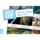 DiveSticker autocollants Malte/Gozo