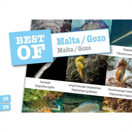 DiveSticker Malta/Gozo