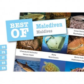 DiveSticker Malediven