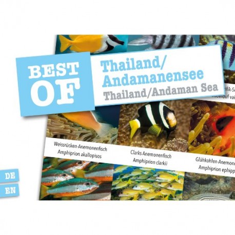 DiveSticker autocollants Thaïlande/Andaman