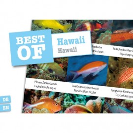 DiveSticker Hawaii