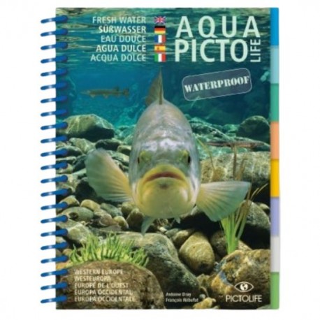 Süsswasser Pictolife Westeuropa