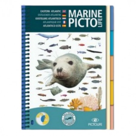 Marine Pictolife Atlantique Est