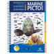 Marine Pictolife Méditerranée