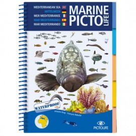 Marine Pictolife Méditerranée