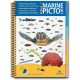 Indischer Ozean und Rotes Meer Marine Pictolife