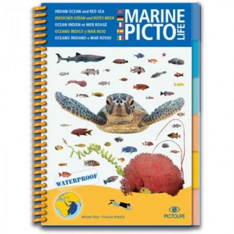 Marine Pictolife Océan Indien et Mer Rouge