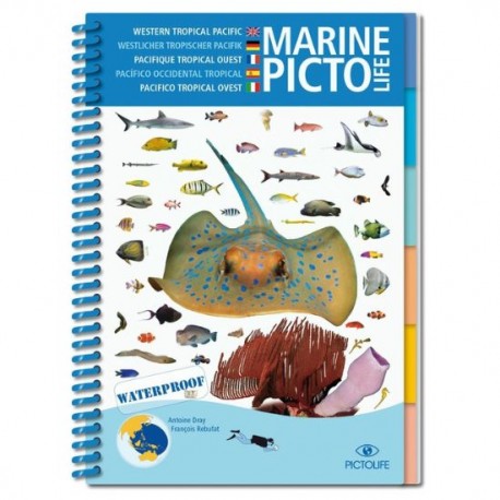 Asiatischer Pazifik Marine Pictolife