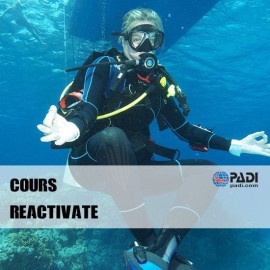ReActivate – Das Auffrischungsprogramm für Taucher