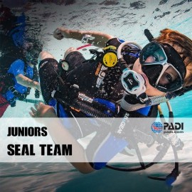 PADI Seal Team PADI Seal Team
