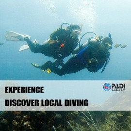 PADI Discover Local Diving PADI Discover Local Diving