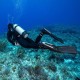 Scubapro Palmes Seawing Supernova