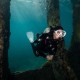 Scubapro Palmes Seawing Supernova