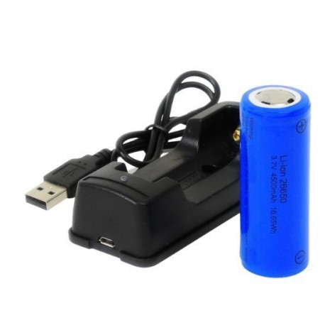 Best Divers Kit de batterie rechargeable 26650