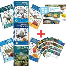 Pack Pictolife et Divesticker