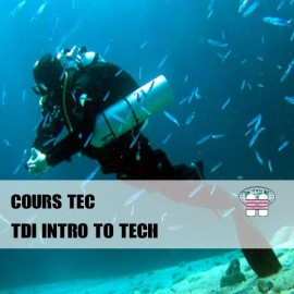 TDI Intro to Tec TDI Intro to Tec