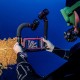 Sealife Sea Dragon Doppelgrundplatte