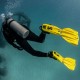 Palmes Scubapro Seawing Nova