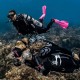Flossen Scubapro Seawing Nova