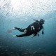 Palmes Scubapro Seawing Nova