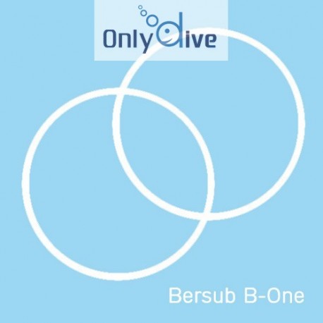 Bersub Kit de joints B-One