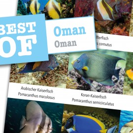 DiveSticker Oman