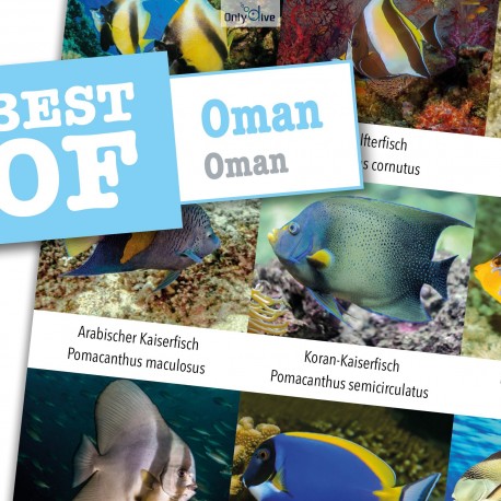 DiveSticker autocollant Oman