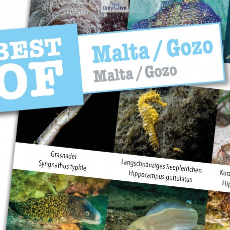 DiveSticker Malta/Gozo