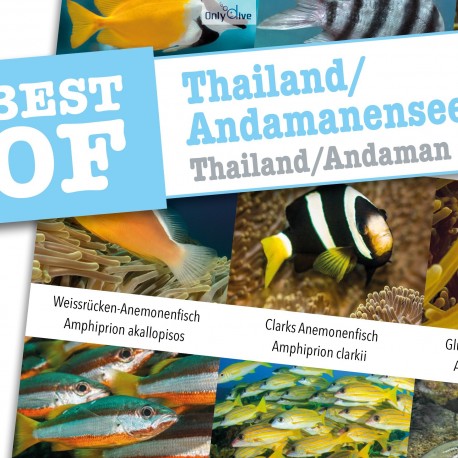 DiveSticker Thailand/Andamanensee