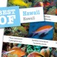 DiveSticker Hawaii