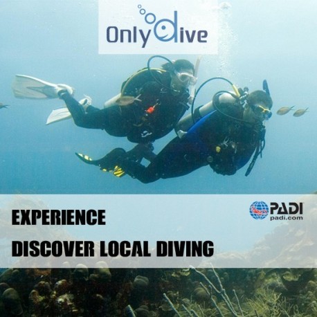 PADI Discover Local Diving